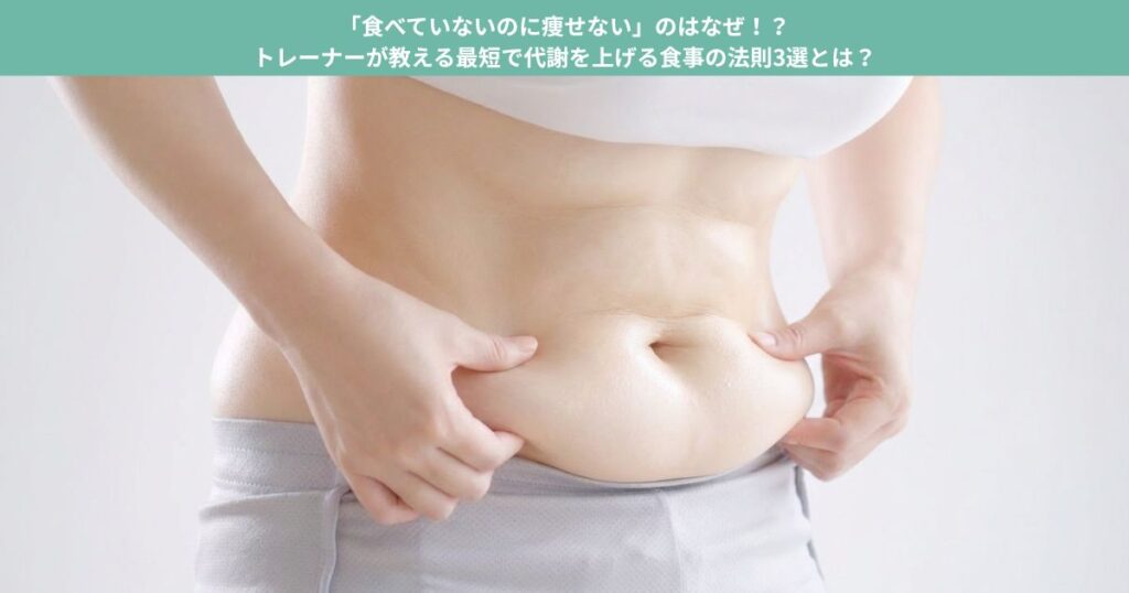 脂肪がのっているお腹の写真